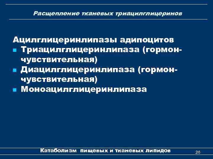 Расщепление тканевых триацилглицеринов Ацилглицеринлипазы адипоцитов n Триацилглицеринлипаза (гормончувствительная) n Диацилглицеринлипаза (гормончувствительная) n Моноацилглицеринлипаза Катаболизм