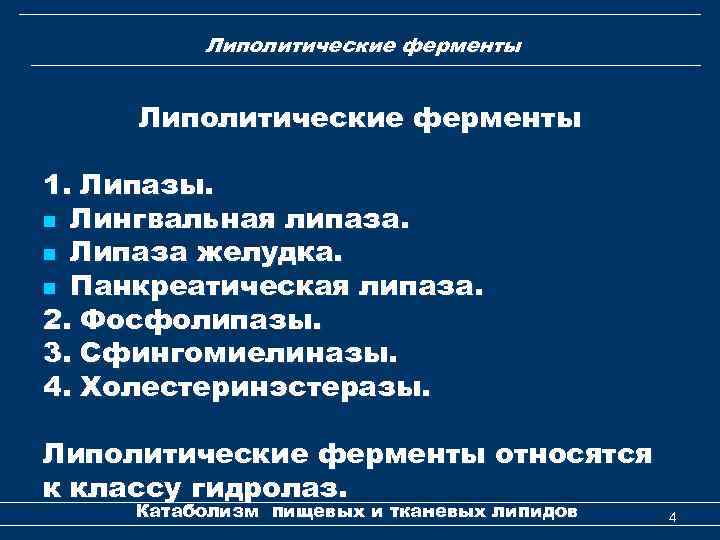 Липолитические ферменты 1. Липазы. n Лингвальная липаза. n Липаза желудка. n Панкреатическая липаза. 2.