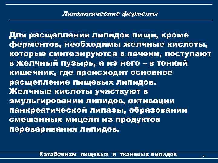 Липолитические ферменты Для расщепления липидов пищи, кроме ферментов, необходимы желчные кислоты, которые синтезируются в