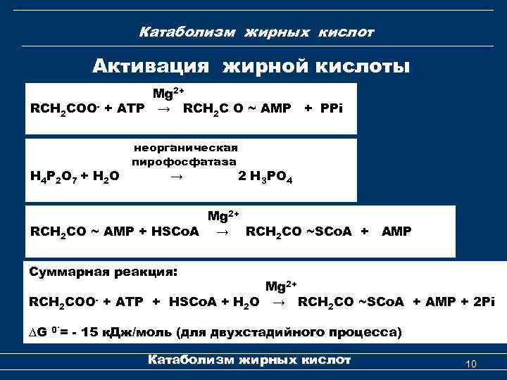 Катаболизм жирных кислот Активация жирной кислоты Mg 2+ RCH 2 COO- + ATP →