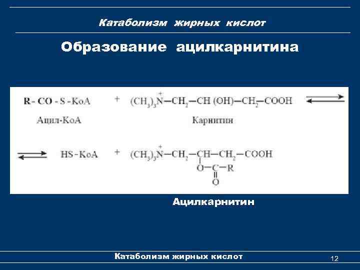 Катаболизм жирных кислот Образование ацилкарнитина Ацилкарнитин Катаболизм жирных кислот 12 