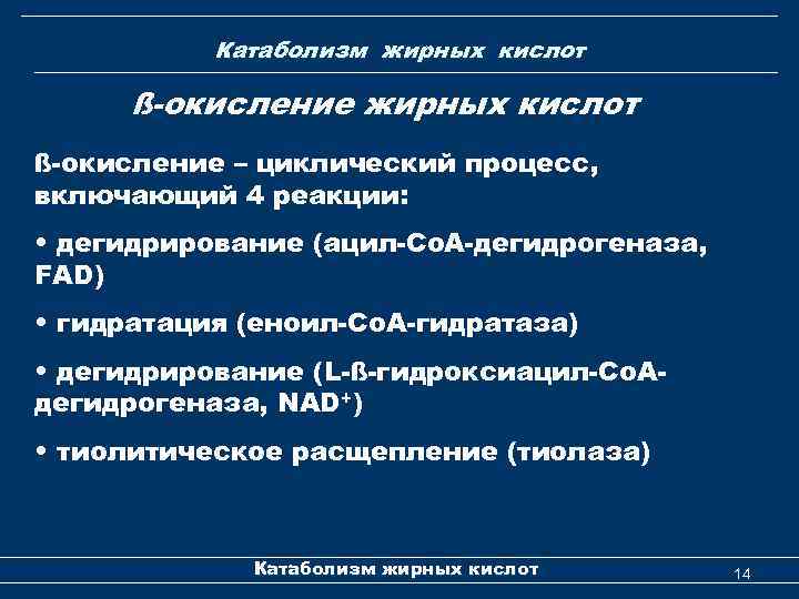 Катаболизм жирных кислот ß-окисление – циклический процесс, включающий 4 реакции: • дегидрирование (ацил-Со. А-дегидрогеназа,