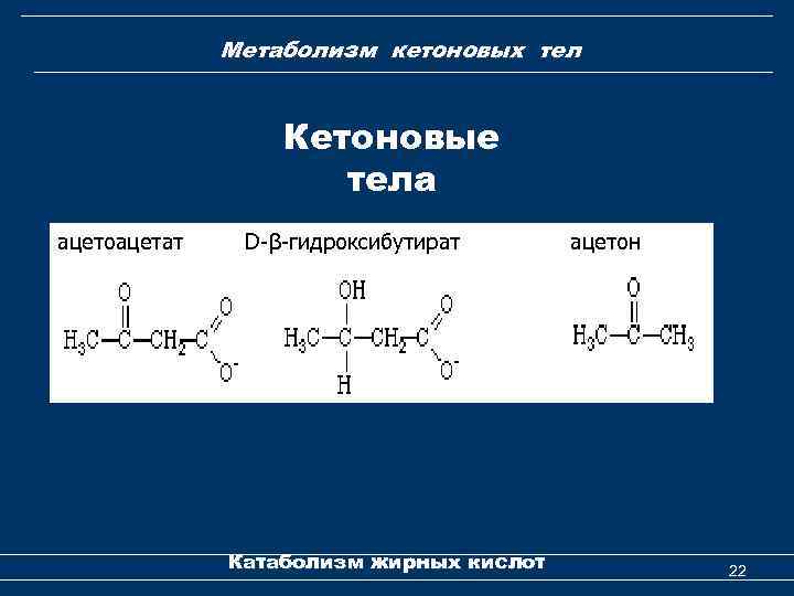 Метаболизм кетоновых тел Кетоновые тела ацетоацетат D-β-гидроксибутират Катаболизм жирных кислот ацетон 22 