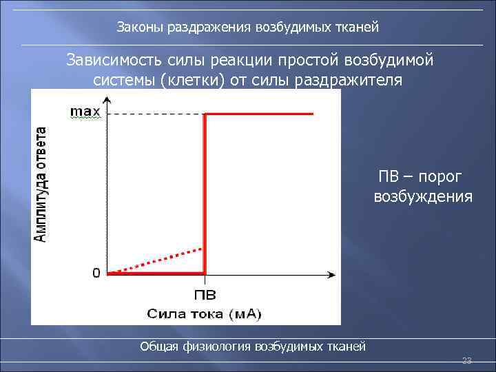 Законы раздражения возбудимых тканей Зависимость силы реакции простой возбудимой системы (клетки) от силы раздражителя