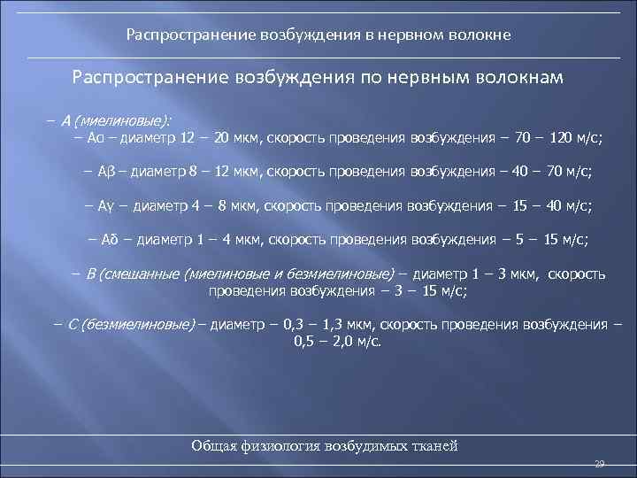 Распространение возбуждения в нервном волокне Распространение возбуждения по нервным волокнам − А (миелиновые): −