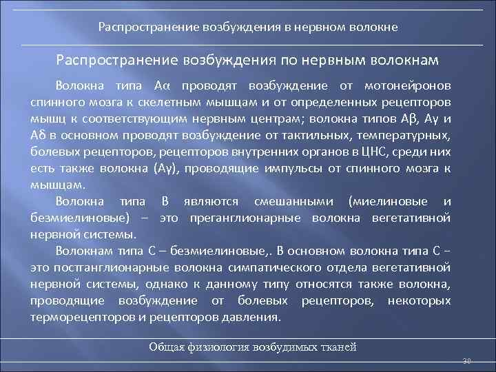 Распространение возбуждения в нервном волокне Распространение возбуждения по нервным волокнам Волокна типа Аα проводят