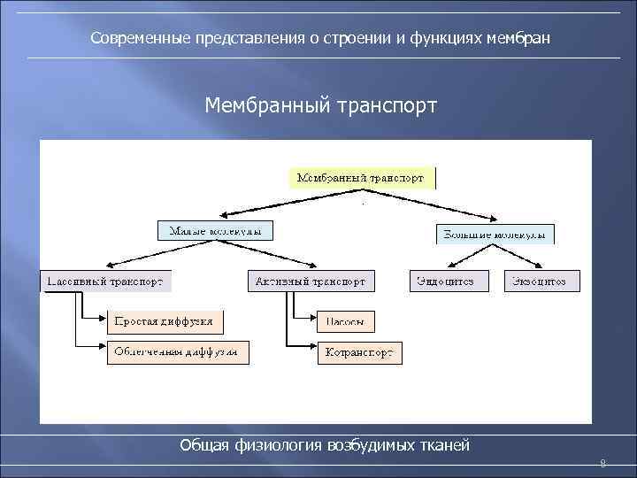 Современные представления о строении и функциях мембран Мембранный транспорт Общая физиология возбудимых тканей 8