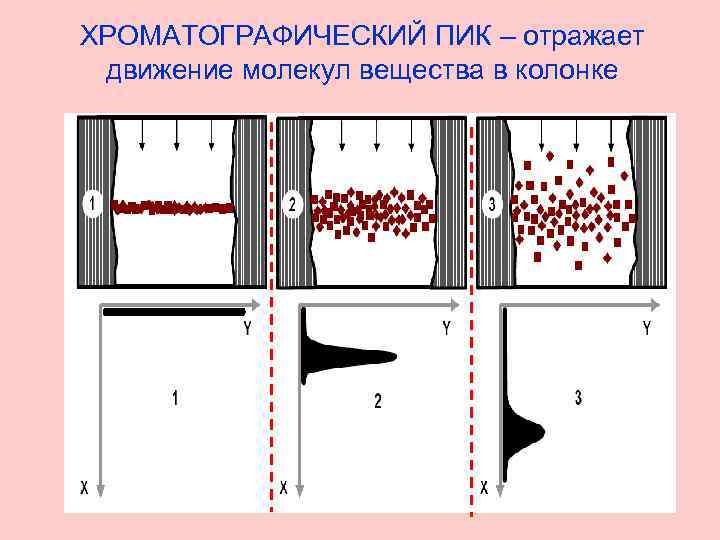 ХРОМАТОГРАФИЧЕСКИЙ ПИК – отражает движение молекул вещества в колонке 