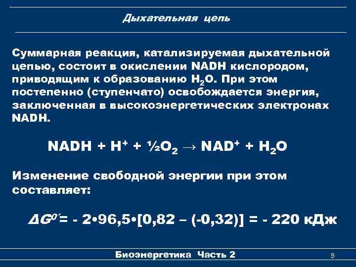 Дыхательная цепь Суммарная реакция, катализируемая дыхательной цепью, состоит в окислении NADH кислородом, приводящим к