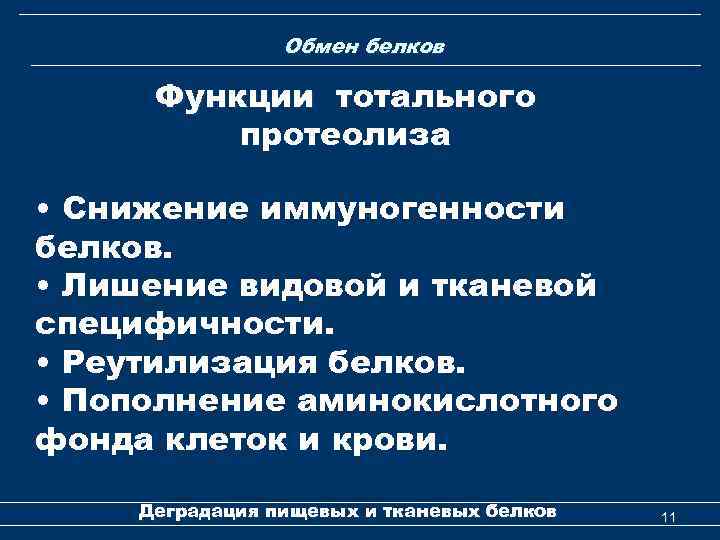 Обмен белков Функции тотального т протеолиза • Снижение иммуногенности белков. • Лишение видовой и