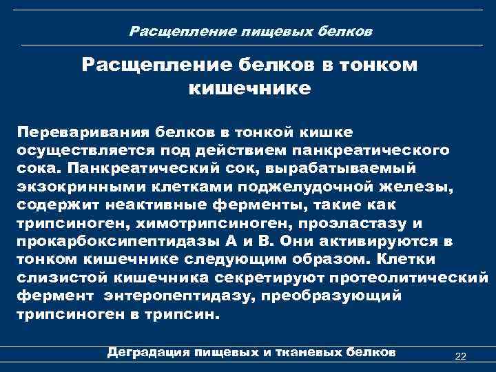 Расщепление белков