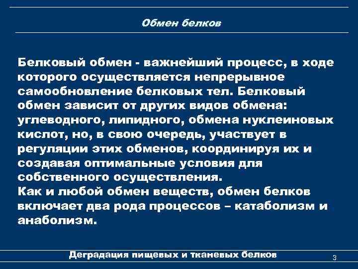 Обмен белков Белковый обмен - важнейший процесс, в ходе которого осуществляется непрерывное самообновление белковых