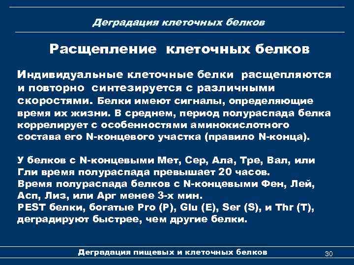 Деградация клеточных белков Расщепление клеточных белков Индивидуальные клеточные белки расщепляются и повторно синтезируется с