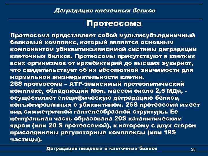 Деградация клеточных белков Протеосома представляет собой мультисубъединичный белковый комплекс, который является основным компонентом убиквитинзависимой