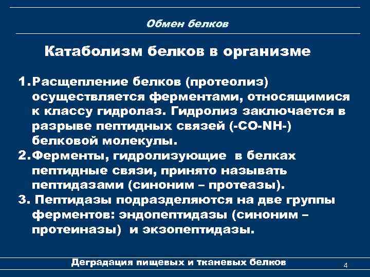 Обмен белков Катаболизм белков в организме 1. Расщепление белков (протеолиз) осуществляется ферментами, относящимися к