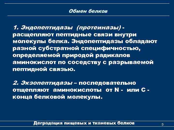 Обмен белков 1. Эндопептидазы (протеиназы) - расщепляют пептидные связи внутри молекулы белка. Эндопептидазы обладают