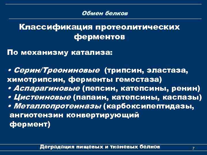 Обмен белков Классификация протеолитических ферментов По механизму катализа: • Серин/Треониновые (трипсин, эластаза, химотрипсин, ферменты