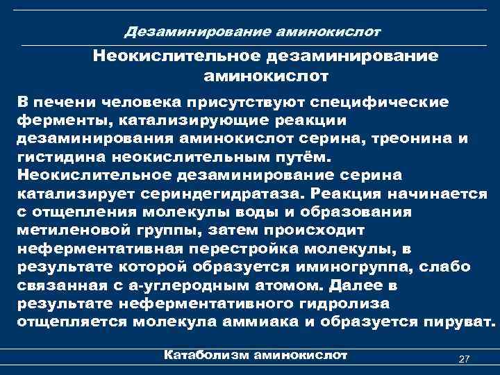 Дезаминирование аминокислот Неокислительное дезаминирование аминокислот В печени человека присутствуют специфические ферменты, катализирующие реакции дезаминирования