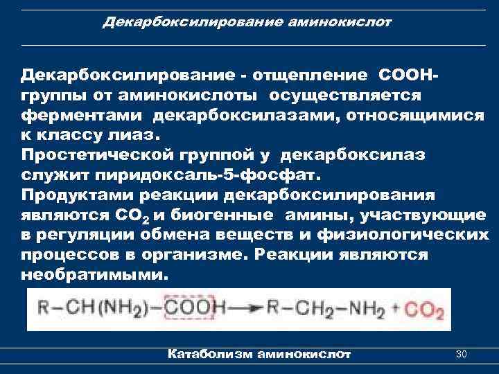 Декарбоксилирование аминокислот Декарбоксилирование - отщепление СООНгруппы от аминокислоты осуществляется ферментами декарбоксилазами, относящимися к классу