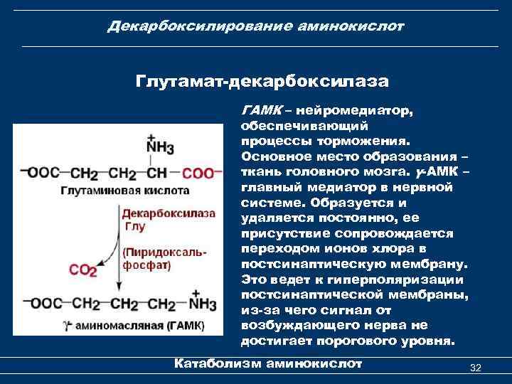 Декарбоксилирование аминокислот Глутамат-декарбоксилаза ГАМК – нейромедиатор, обеспечивающий процессы торможения. Основное место образования – ткань