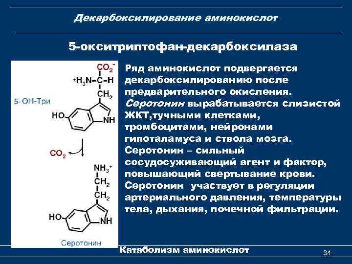 Декарбоксилирование аминокислот 5 -окситриптофан-декарбоксилаза Ряд аминокислот подвергается декарбоксилированию после предварительного окисления. Серотонин вырабатывается слизистой