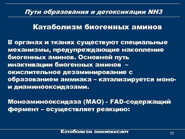 Пути образования и детоксикации NH 3 Катаболизм биогенных аминов В органах и тканях существуют