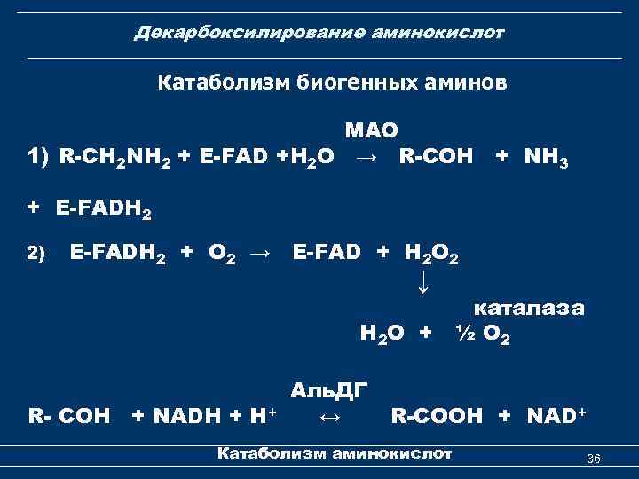 Декарбоксилирование аминокислот Катаболизм биогенных аминов МАО 1) R-СH 2 NH 2 + E-FAD +H