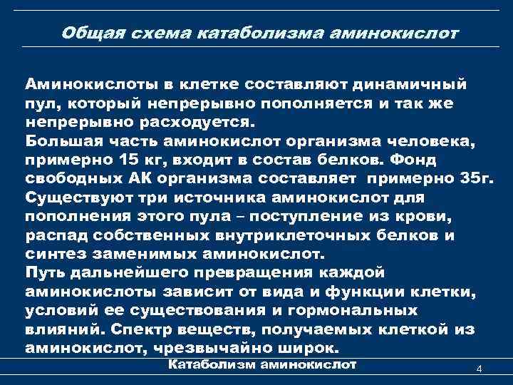 Общая схема катаболизма аминокислот Аминокислоты в клетке составляют динамичный пул, который непрерывно пополняется и