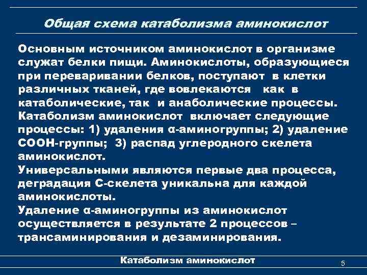 Общая схема катаболизма аминокислот Основным источником аминокислот в организме служат белки пищи. Аминокислоты, образующиеся