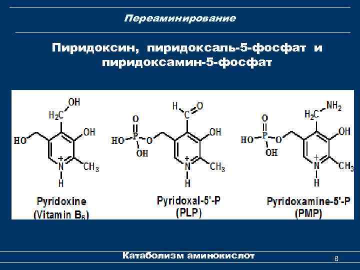 Переаминирование Пиридоксин, пиридоксаль-5 -фосфат и пиридоксамин-5 -фосфат Катаболизм аминокислот 8 