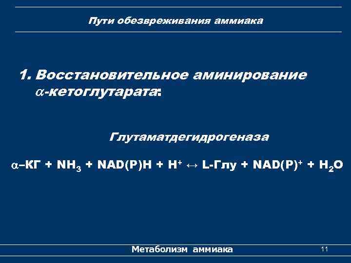 Пути обезвреживания аммиака 1. Восстановительное аминирование -кетоглутарата: Глутаматдегидрогеназа –КГ + NH 3 + NАD(Р)Н