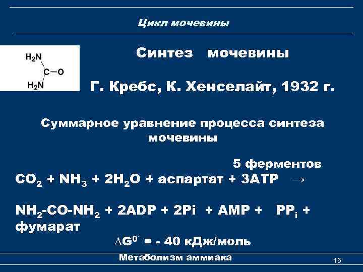  Цикл мочевины Синтез мочевины Г. Кребс, К. Хенселайт, 1932 г. Суммарное уравнение процесса