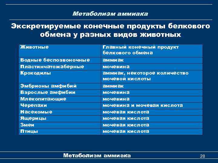  Метаболизм аммиака Экскретируемые конечные продукты белкового обмена у разных видов животных Животные Водные