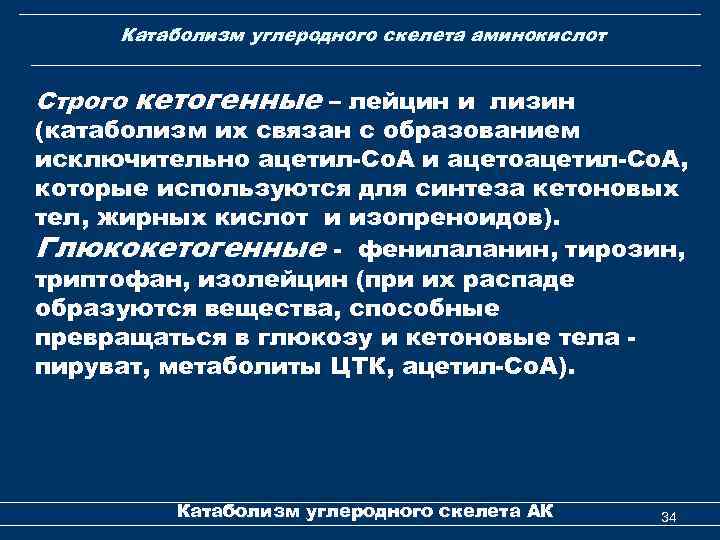 Катаболизм углеродного скелета аминокислот Строго кетогенные – лейцин и лизин (катаболизм их связан с