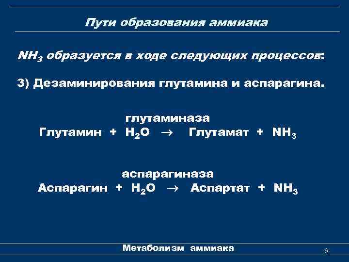 Пути образования аммиака NH 3 образуется в ходе следующих процессов: 3) Дезаминирования глутамина и