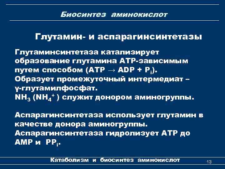 Биосинтез аминокислот Глутамин- и аспарагинсинтетазы Глутаминсинтетаза катализирует образование глутамина АТР-зависимым путем способом (ATP →