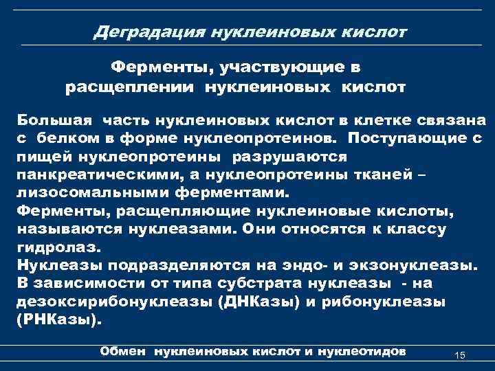 Деградация нуклеиновых кислот Ферменты, участвующие в расщеплении нуклеиновых кислот Большая часть нуклеиновых кислот в