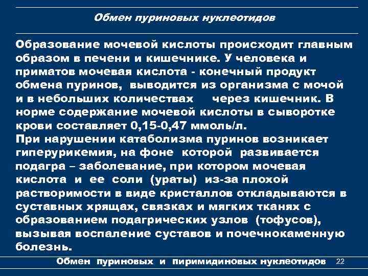 Обмен пуриновых нуклеотидов Образование мочевой кислоты происходит главным образом в печени и кишечнике. У