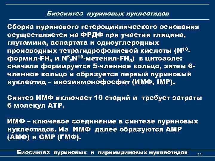 Биосинтез пуриновых нуклеотидов Сборка пуринового гетероциклического основания осуществляется на ФРДФ при участии глицина, глутамина,
