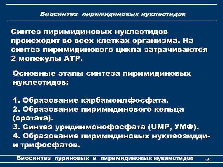 Биосинтез пиримидиновых нуклеотидов Синтез пиримидиновых нуклеотидов происходит во всех клетках организма. На синтез пиримидинового
