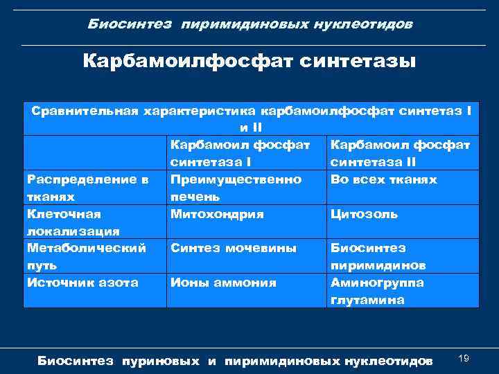 Биосинтез пиримидиновых нуклеотидов Карбамоилфосфат синтетазы Сравнительная характеристика карбамоилфосфат синтетаз I и II Карбамоил фосфат
