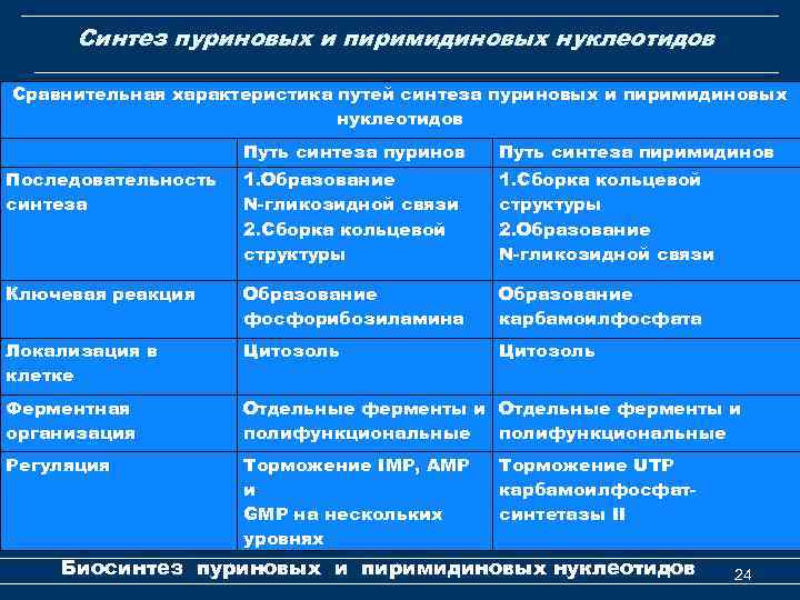 Синтез пуриновых и пиримидиновых нуклеотидов Сравнительная характеристика путей синтеза пуриновых и пиримидиновых нуклеотидов Путь