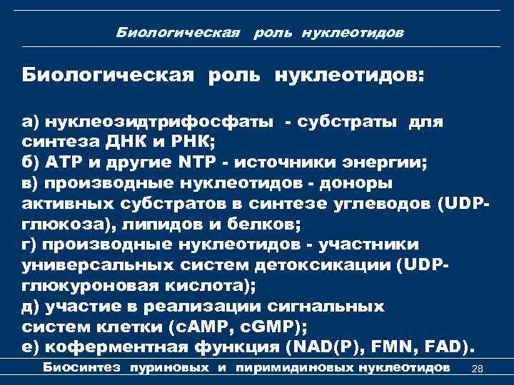 Биологическая роль нуклеотидов: а) нуклеозидтрифосфаты - субстраты для синтеза ДНК и РНК; б) АТР