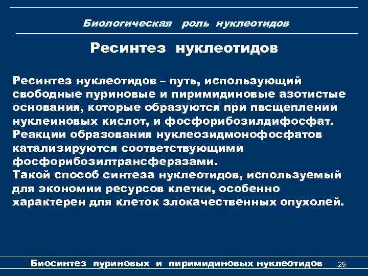 Биологическая роль нуклеотидов Ресинтез нуклеотидов – путь, использующий свободные пуриновые и пиримидиновые азотистые основания,