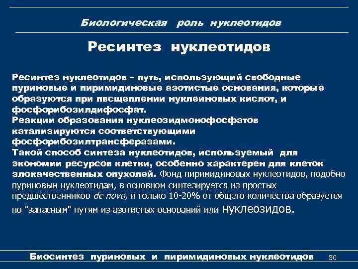 Биологическая роль нуклеотидов Ресинтез нуклеотидов – путь, использующий свободные пуриновые и пиримидиновые азотистые основания,