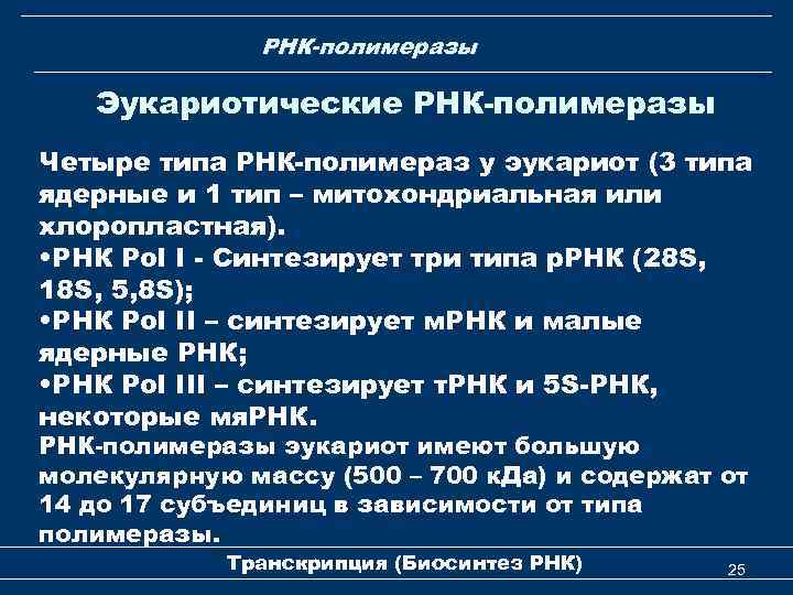 РНК-полимеразы Эукариотические РНК-полимеразы Четыре типа РНК-полимераз у эукариот (3 типа ядерные и 1 тип