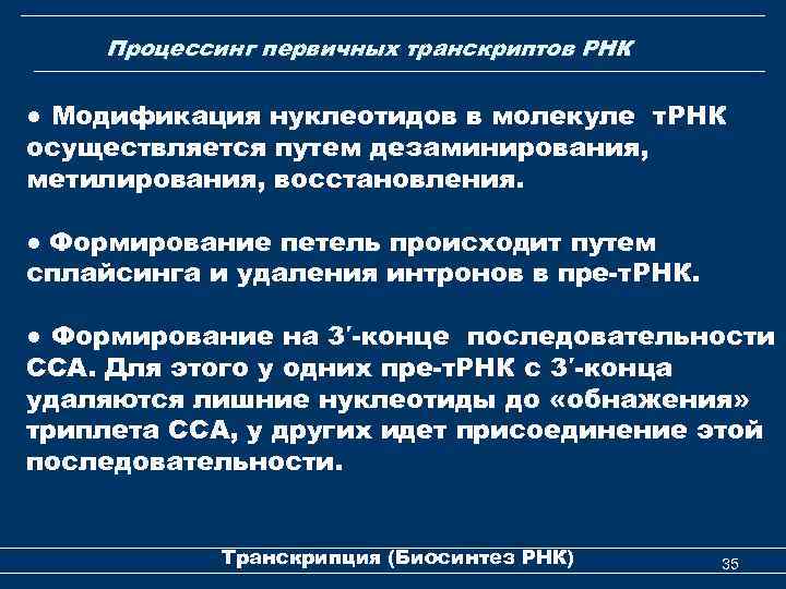 Процессинг первичных транскриптов РНК ● Модификация нуклеотидов в молекуле т. РНК осуществляется путем дезаминирования,