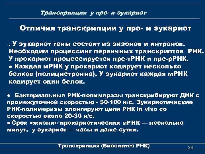 Транскрипция у про- и эукариот Отличия транскрипции у про- и эукариот. У эукариот гены