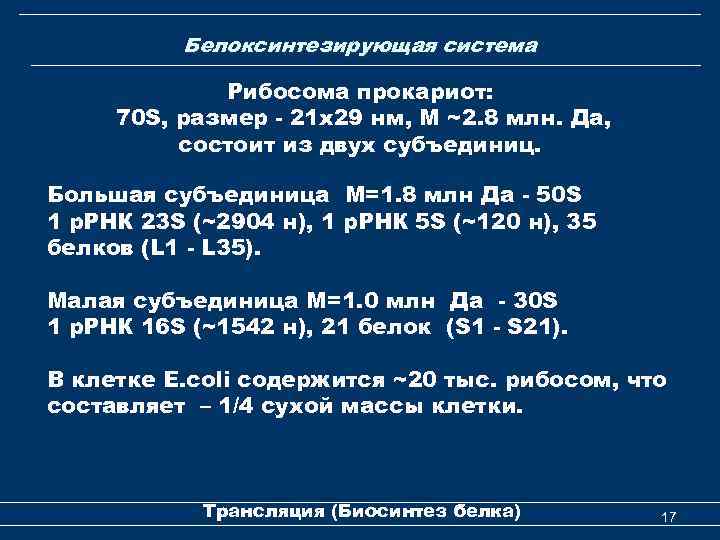 Белоксинтезирующая система Рибосома прокариот: 70 S, размер - 21 x 29 нм, М ~2.