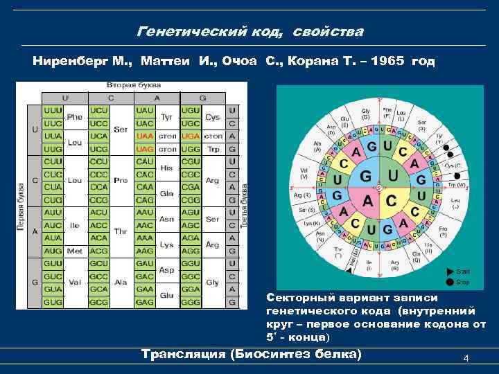 Генетический код, свойства Ниренберг М. , Маттеи И. , Очоа С. , Корана Т.